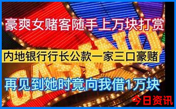 西安市周边荷花景点大全